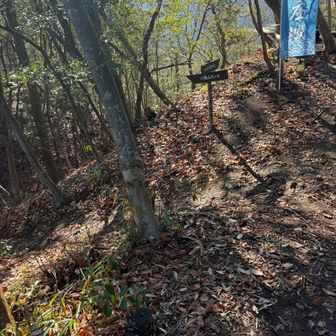 上段曲輪付近から左に下ると北の丸方向へ。