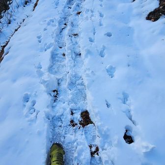 今日はロードもあるので、腰痛対策で厚底のランニングシューズにしたんですが、滑る滑る💦
いつも履いてるヤツと天と地の差😂