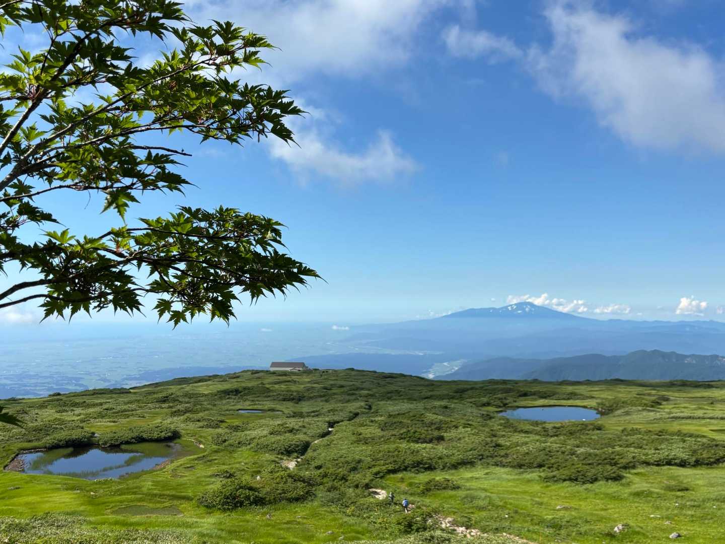 下山は長旅でした😮‍💨

右足の親指辺りの皮がめくれそう（古傷）になり、ヨチヨチ歩きとなりました。