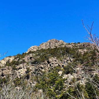 こっちの方がカッコ良さはあった。