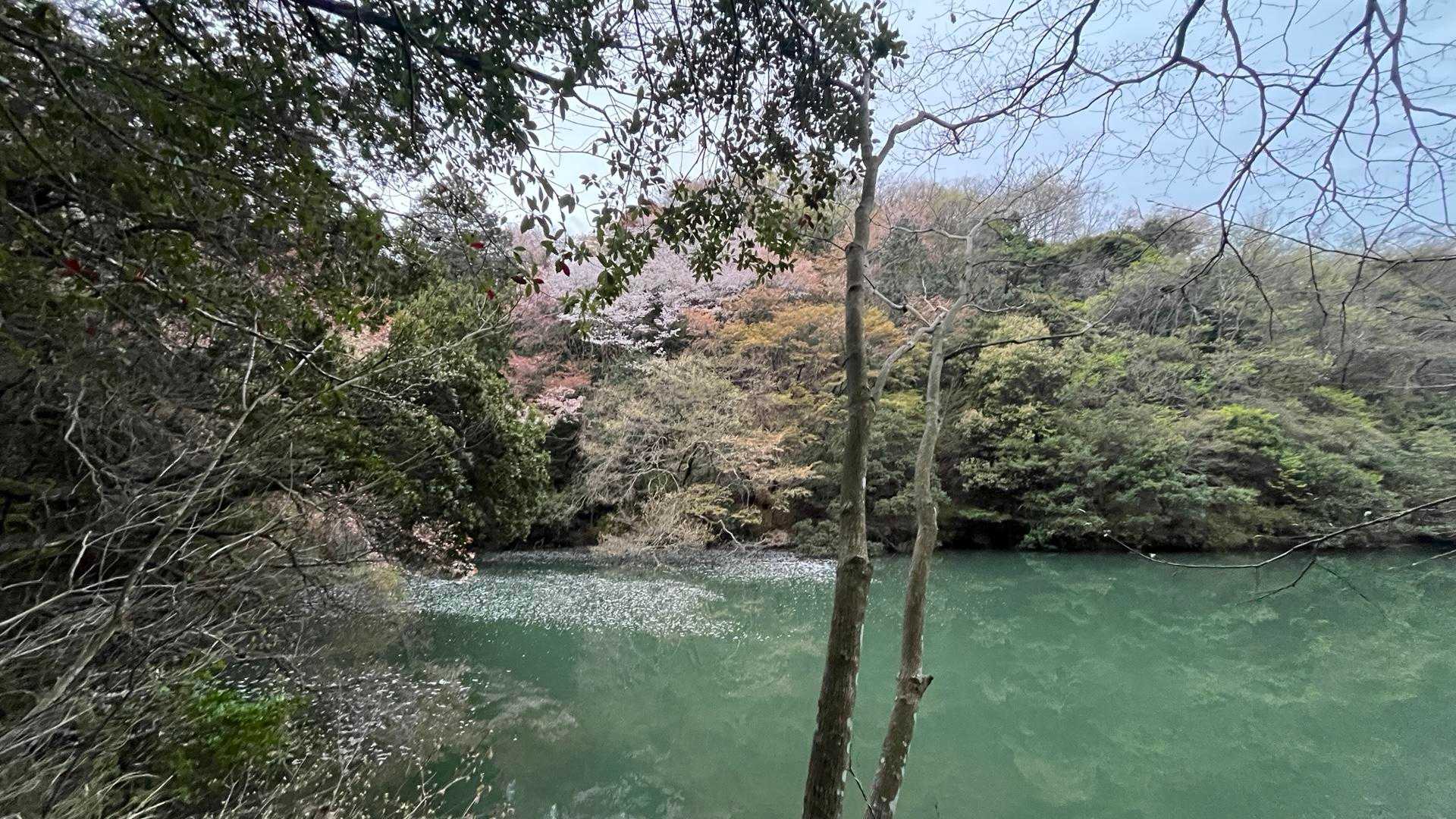 雨山 周回コースの写真