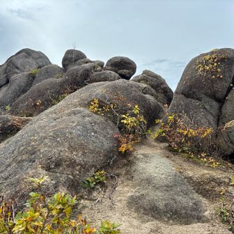 ばば岩登頂ー！