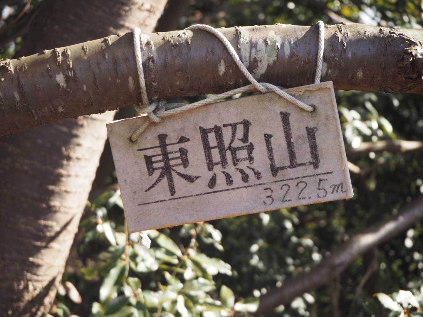 ⛰東照山ピーク⛰