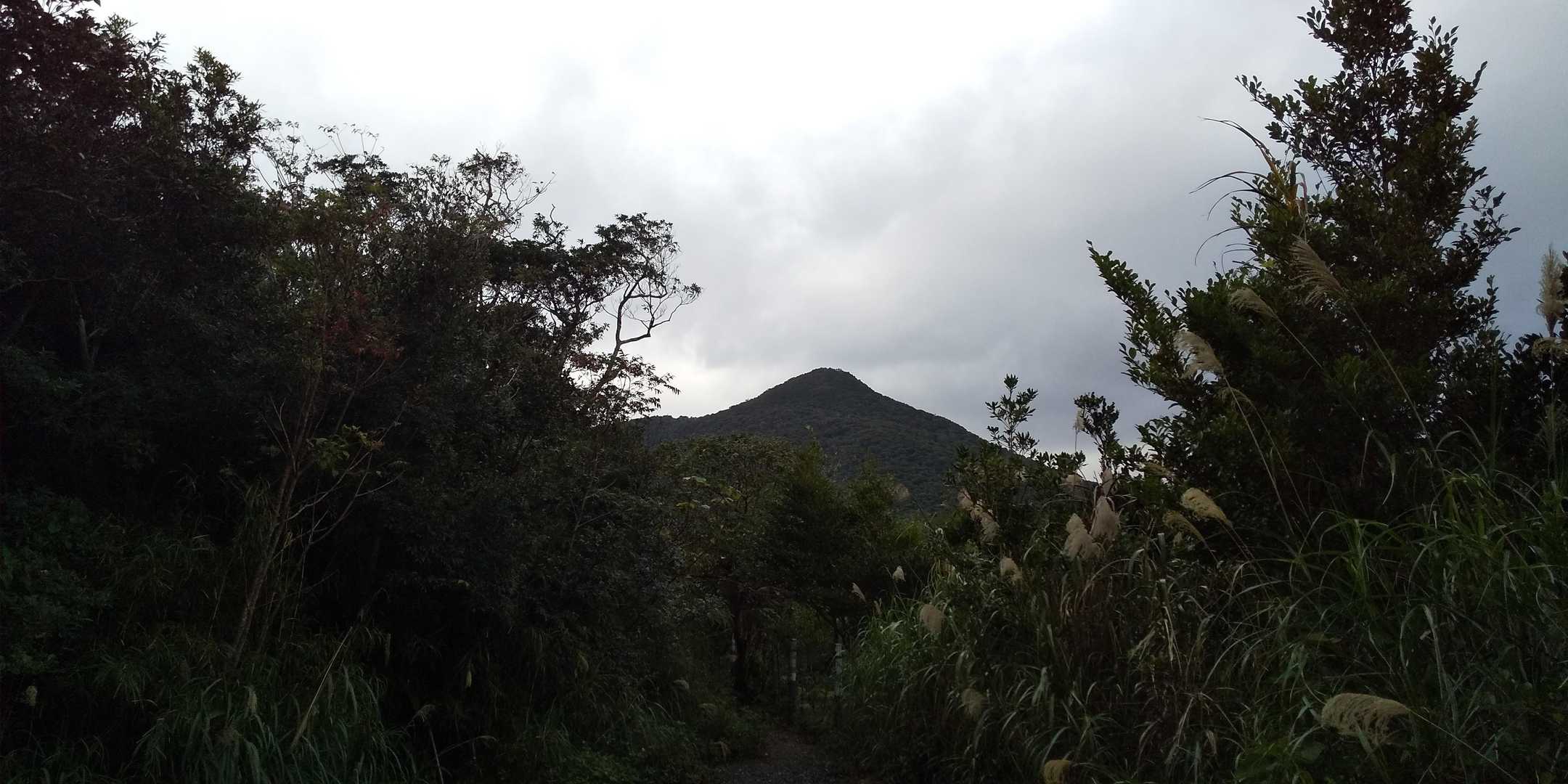 伊部岳。