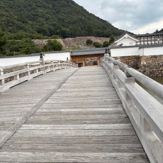 石垣と山がマッチして楽しい山活になりました