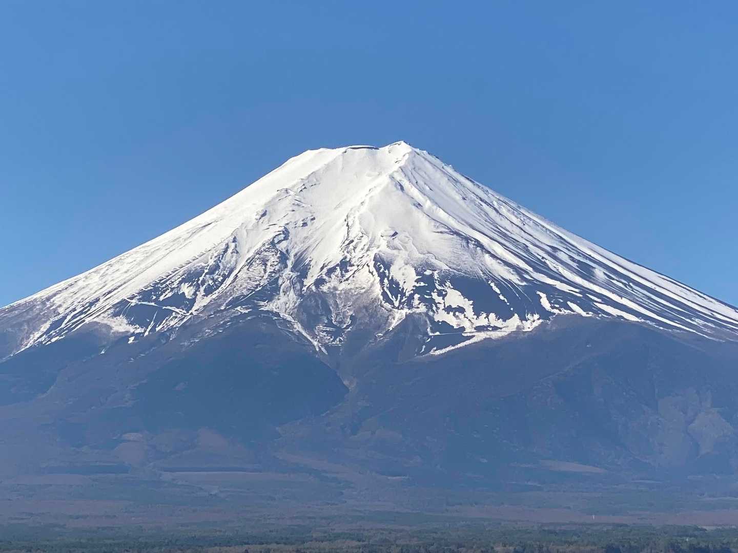 新倉富⼠浅間神社・新倉山 往復コースの写真
