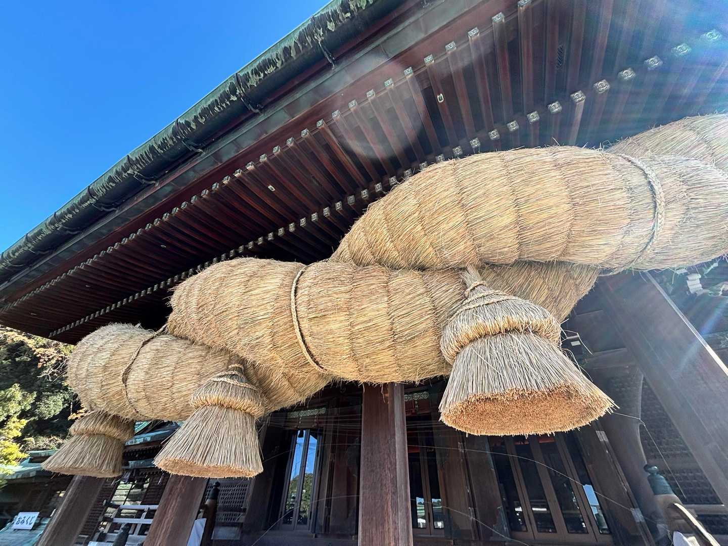 後から、御由緒書で知った😳
日本一の大注連縄　だそうです
納得の存在感と迫力でした‼️