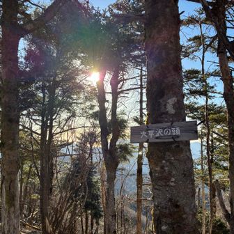 八絋嶺までは結構な距離、時間、ピーク⤴️⤵️があります