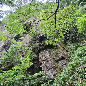笹岳の西側の側面 !