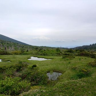 湿原のベンチの周りはお花シーズンは終わった後かも