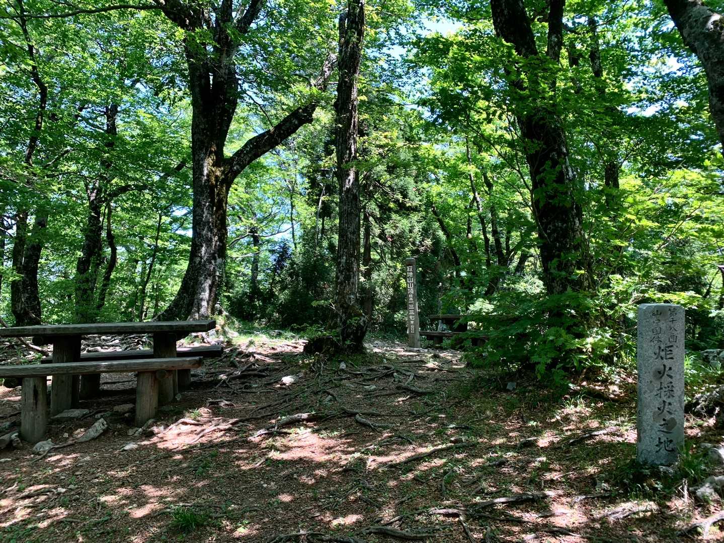 最近の井野山での負荷が身になってる気がする。
ハイペースだった割には疲れなかった