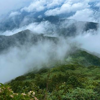 奥に薄っすら見えるのは荒沢岳🤩
雲が切れ始めお山のシルエットが徐々姿を表し
素晴らしい景色が！
