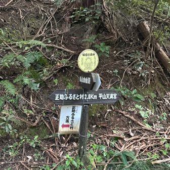 ‥久しぶりに、平山天満宮に行ってみます。