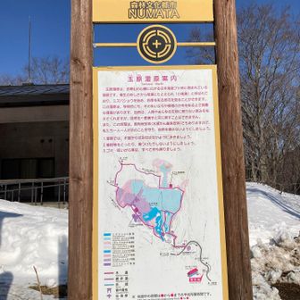 ふむふむ🤔なるほどザ・玉原湿原ワールド