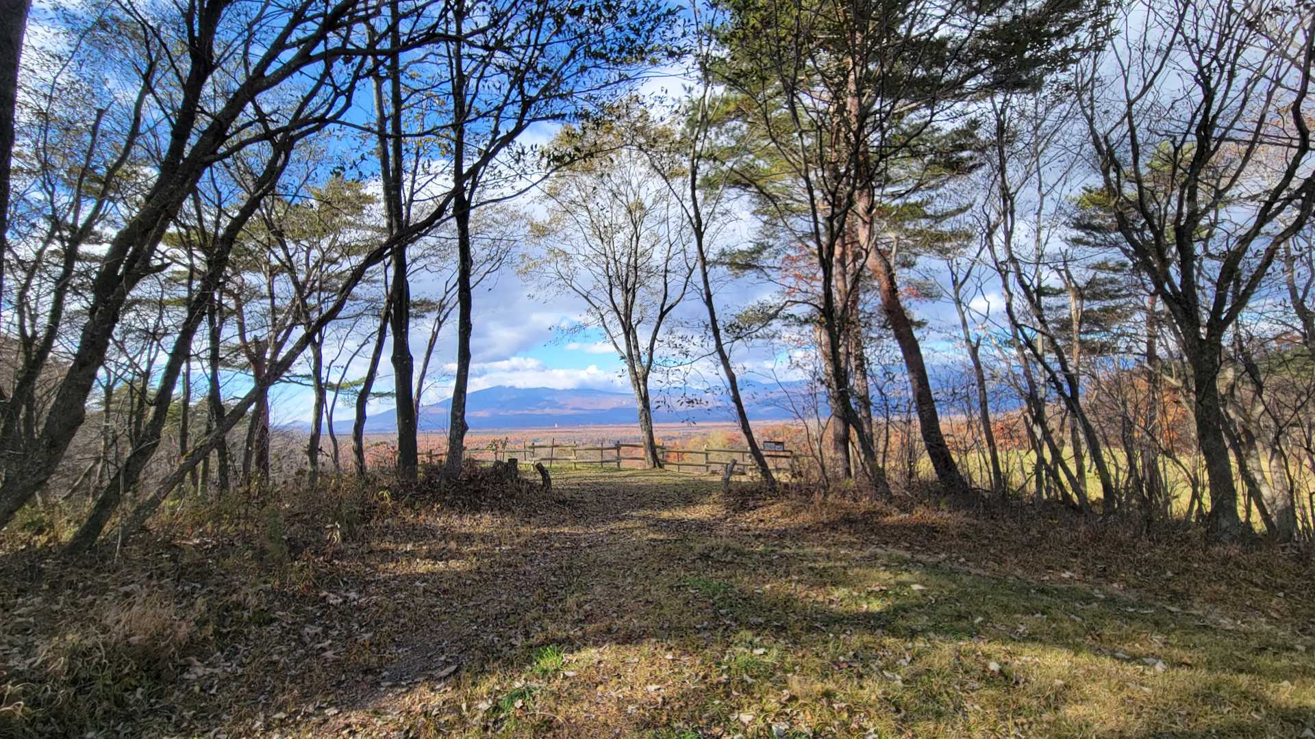天丸山 往復コースの写真