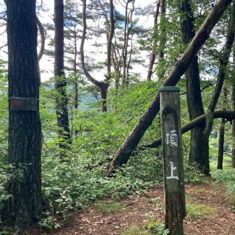 何とか７分台で山頂に到着！！
意外と体力落ちてなくて良かった(^^)