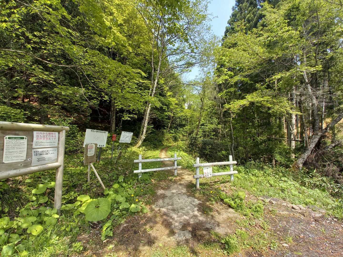 眺望山東口-オドリヒバ-眺望山-眺望山西口-眺望山中央口 周回コースの写真