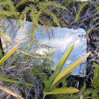 このピークは見つけにくい