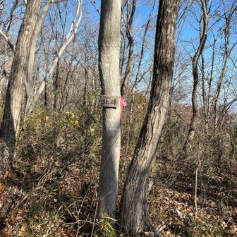 眺望ありません