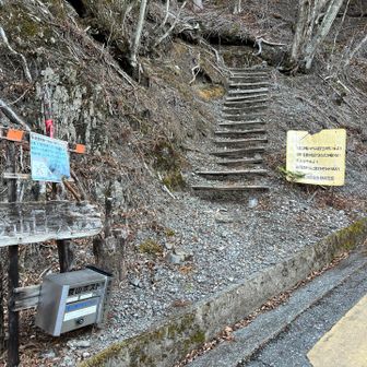 林道少し登ってトレイルに入る