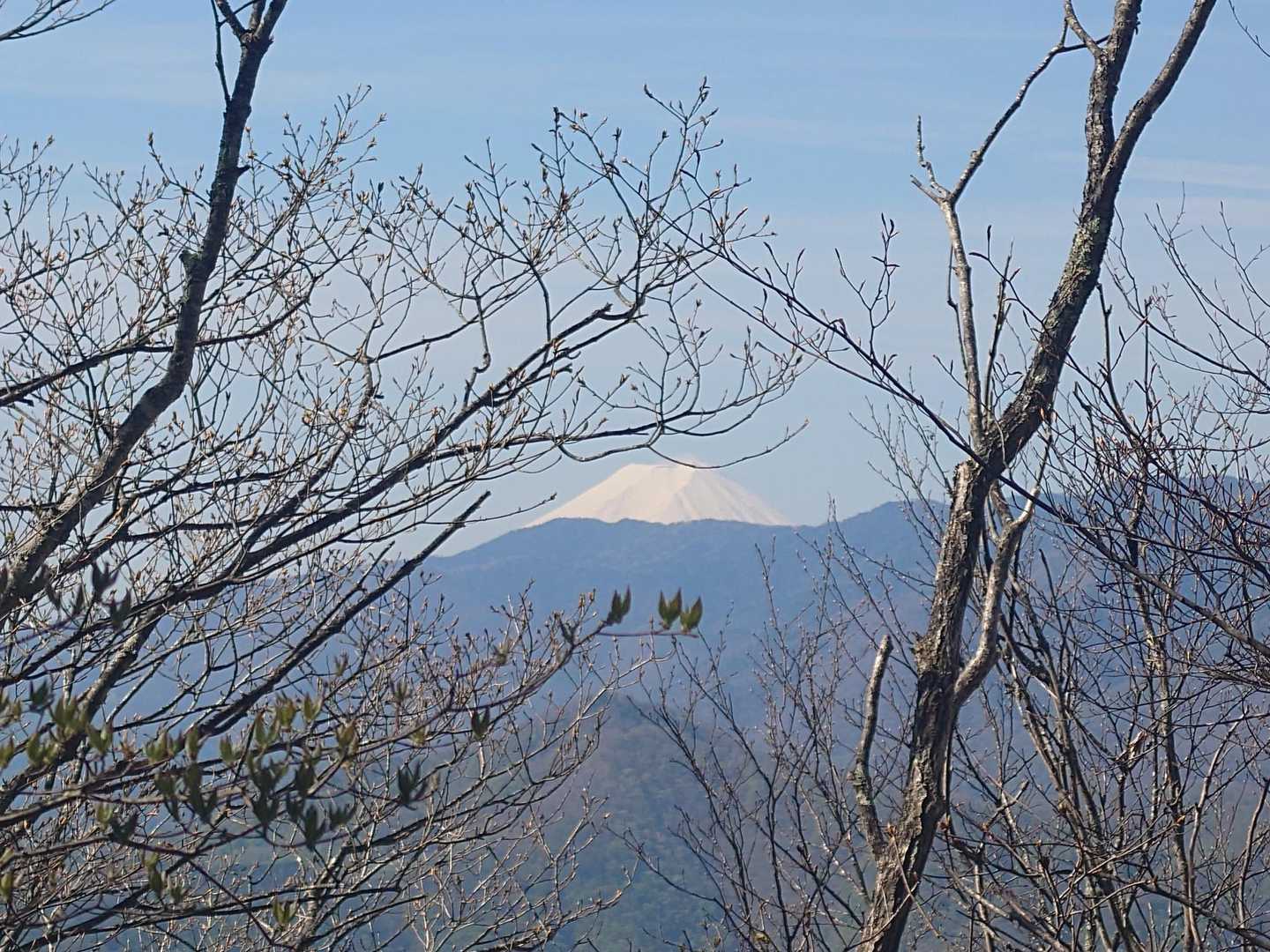 丹波役場前バス停-丹波バス停-サオラ峠-熊倉山-前飛竜-飛 周回コースの写真