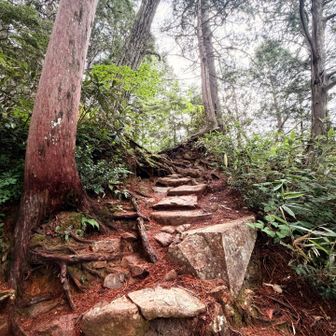 柏原新道は滑りやすい道でした。