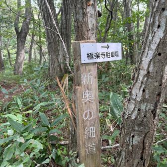 珊瑚岳から戻り、国見山を過ぎて近道を選択。結構な急坂でした。
