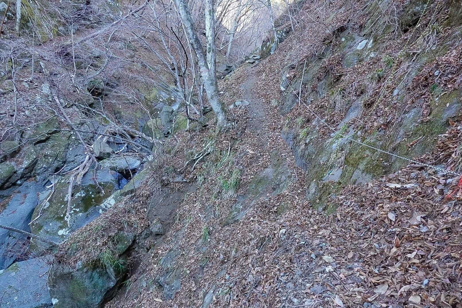 一足の道幅もロープの整備。ありがてぇ。