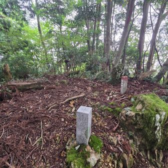 このピークを越えて雪彦山の三角点に行く道は、割と普通の登山道