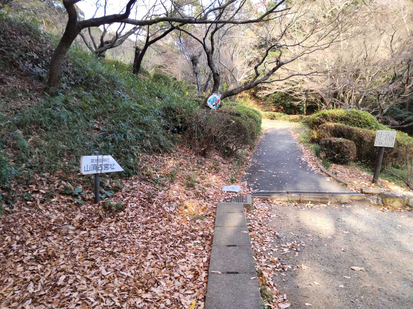 宮地嶽神社-宮地山 往復コースの写真