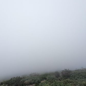 油そば一杯で驚きの白さ
アタック！