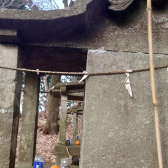 山の主が食した？🤣