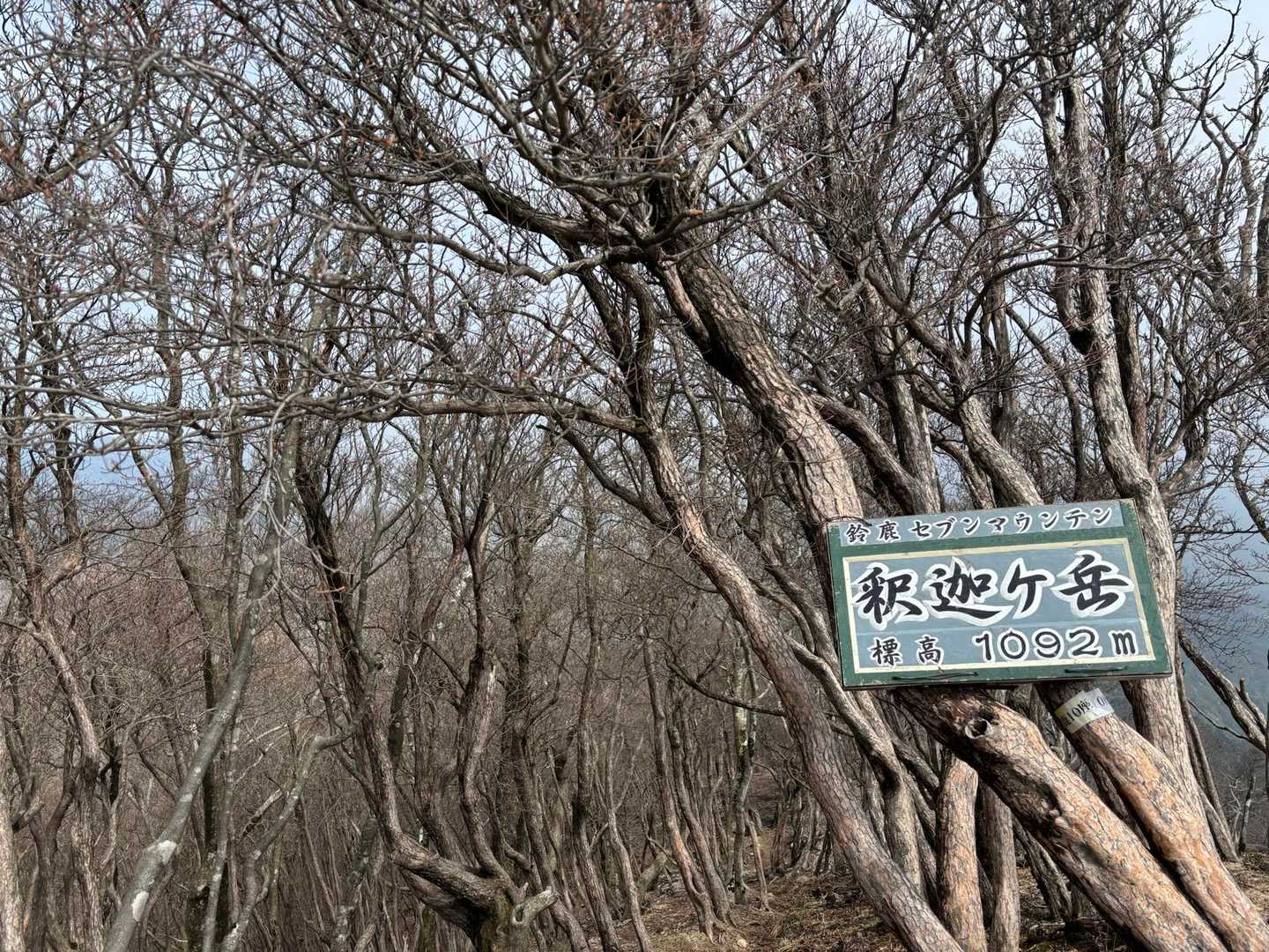 着いたー！