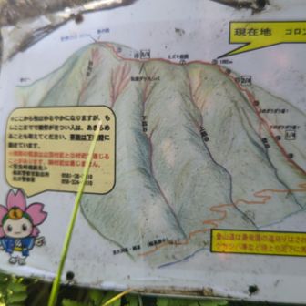 コロンブスピークに着いた🤓

ここまで梯子やロープがやたら多かった😯