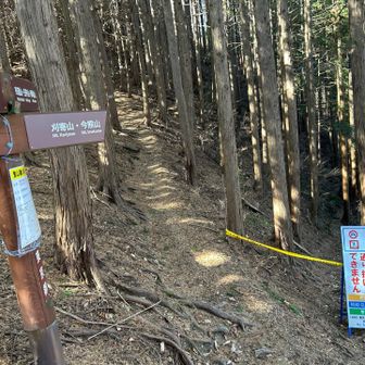 トッキリ場に来てみると一般道では先に進める状況じゃないから大会用に林道へのショートカットを作るのかな