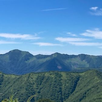 カールが美しい。名前、思い出せない。