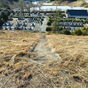 駐車場が見えます