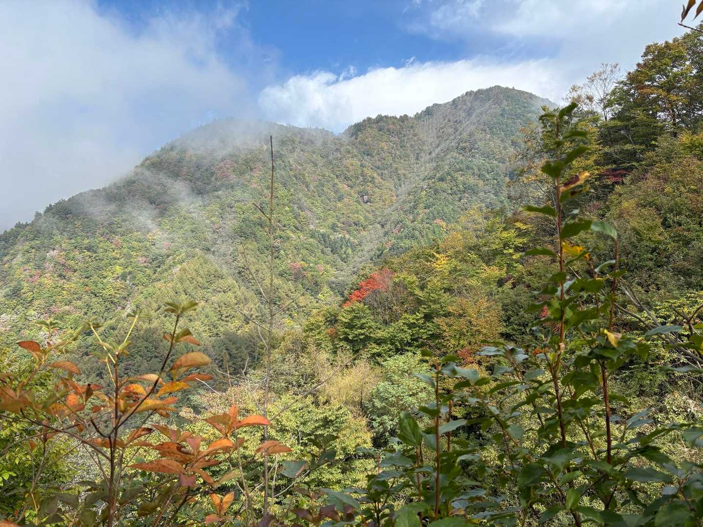 少し紅葉🍁