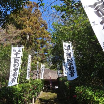 苔むす石段
梅雨どきになれば緑の苔に覆われる。
苔むす石段と白い奉納旗の凛とした雰囲気が好き。