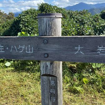 ハゲ山とはなんぞや