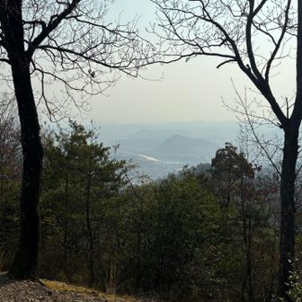 遠くは霞んでる💦