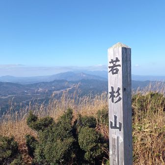 山頂から大山☁️かかってます🤣
暫くソロの方と山の情報交換しながら☁️がはけるのを待ってましたが抜けませんでした
