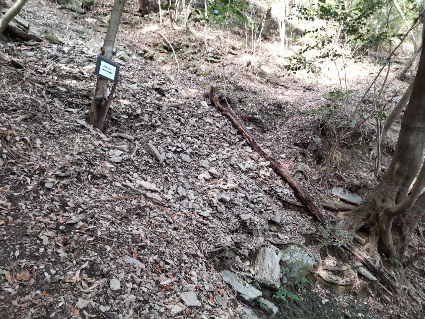 写真には写ってないけど右側の谷底は結構な高さがあるのに今にも崩れそうな道？を渡る