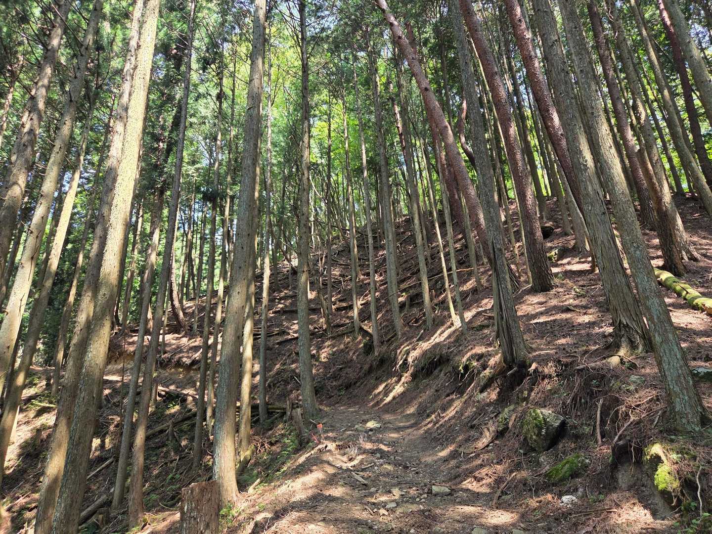 ☀️て来ました。
(振り返り📸)
