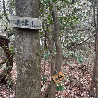 高津山山頂プレートGET！