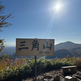 秋晴れー☀️