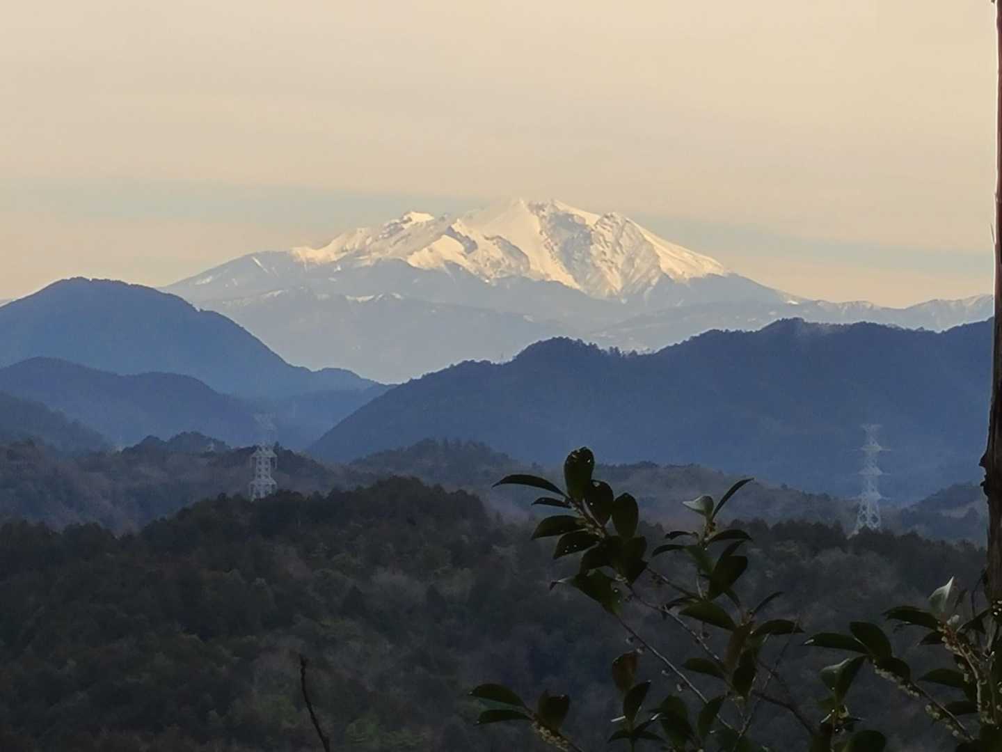 老梅山-青之木城跡-椎倉山-椎倉山登山口-黒屋山登山口-黒 往復コースの写真
