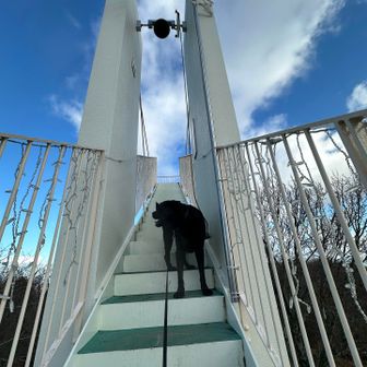 夜にカップルでドライブ🚗して
愛❤️を語りあう場所でしょうかね🥰


🐕‍🦺登るものと思ってたら行き止まり😅