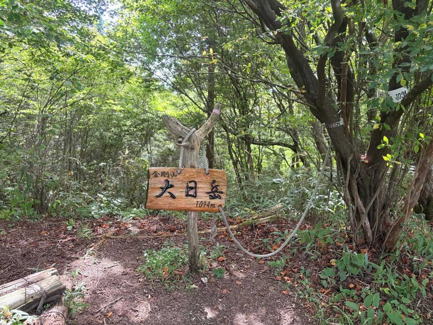水越峠-金剛山-転法輪寺-金剛山葛木神社 周回コースの写真