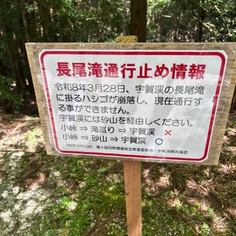 滝めぐりできずまた登り😱